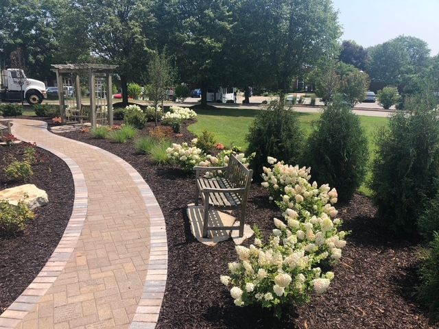 A winding paver walkway leads through a garden with blooming white panicle hydrangeas, evergreen shrubs, and a bench.