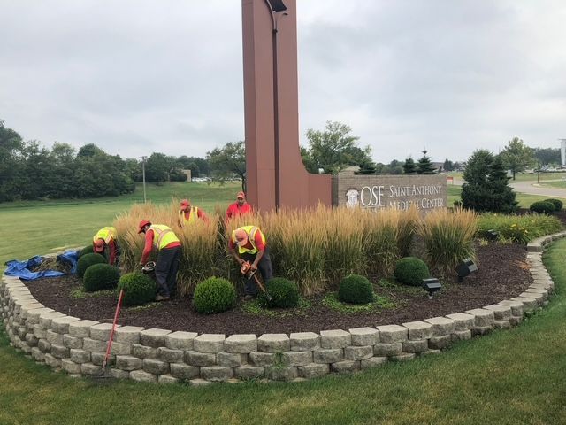 Landscapers in safety vests work in a garden bed with tall grass and trimmed shrubs by an OSF Saint Anthony sign.