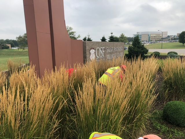 Two workers in high-visibility vests perform maintenance on tall ornamental grasses in front of a stone campus monument.