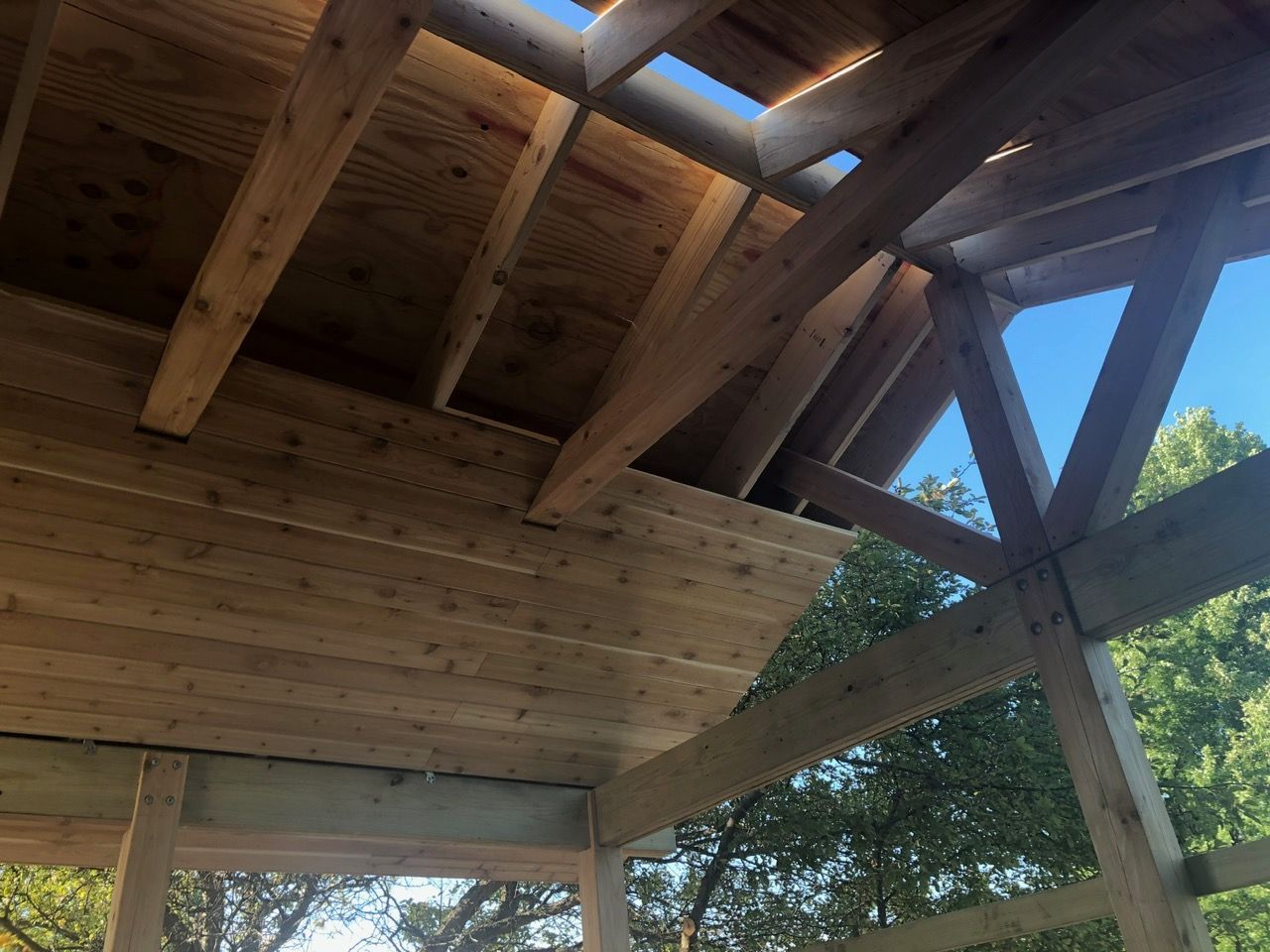 A low-angle view of a wooden open-air structure, showing exposed rafters, plywood roofing, and trees against a blue sky.