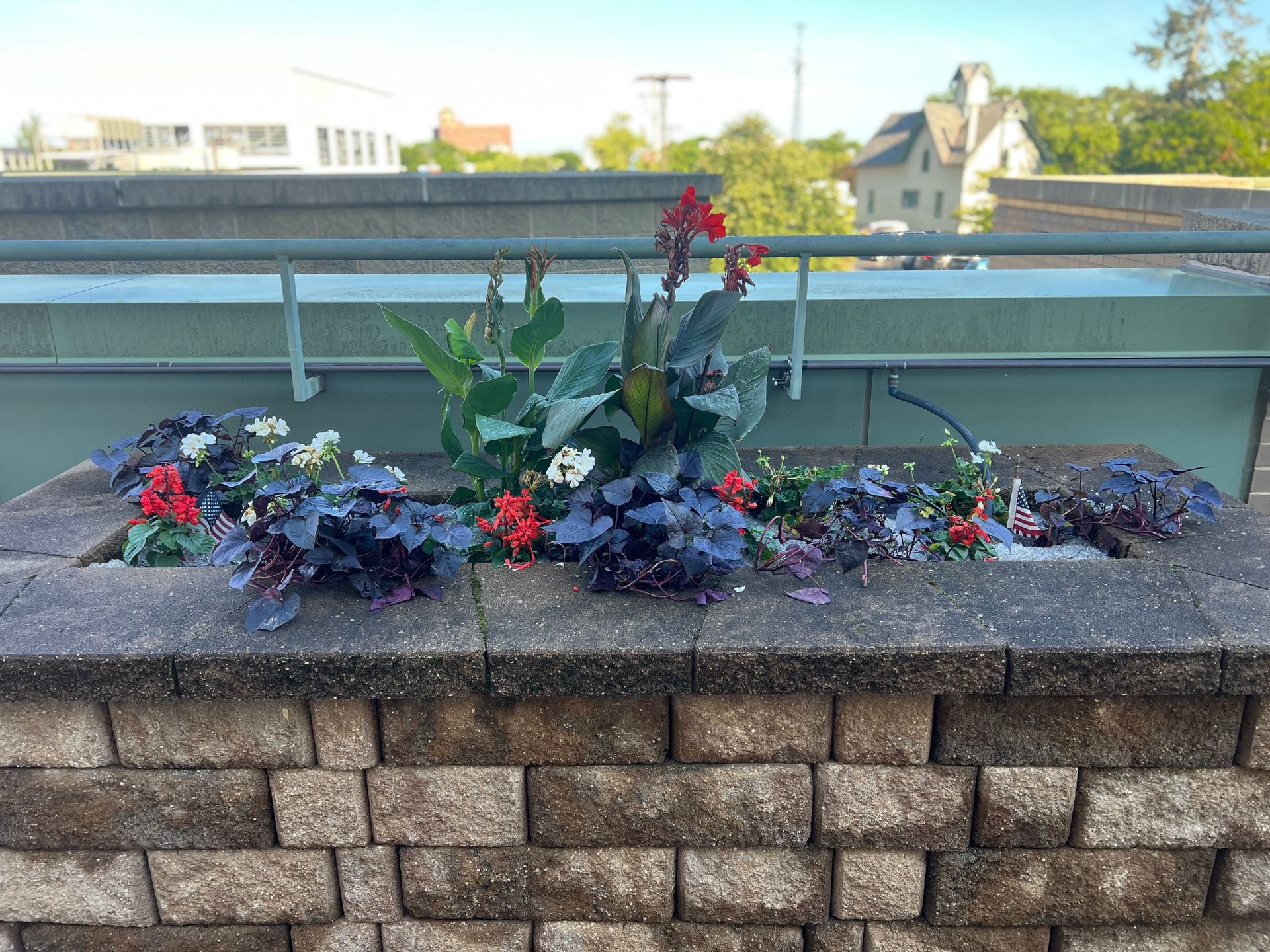 A brick planter box filled with vibrant red flowers and dark purple foliage against a backdrop of a building and sky.