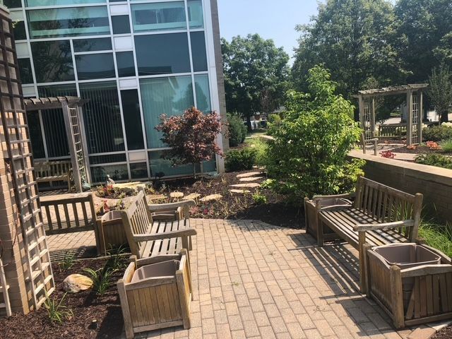 A brick courtyard with two wooden benches, potted plants, and a small Japanese maple next to a modern building.