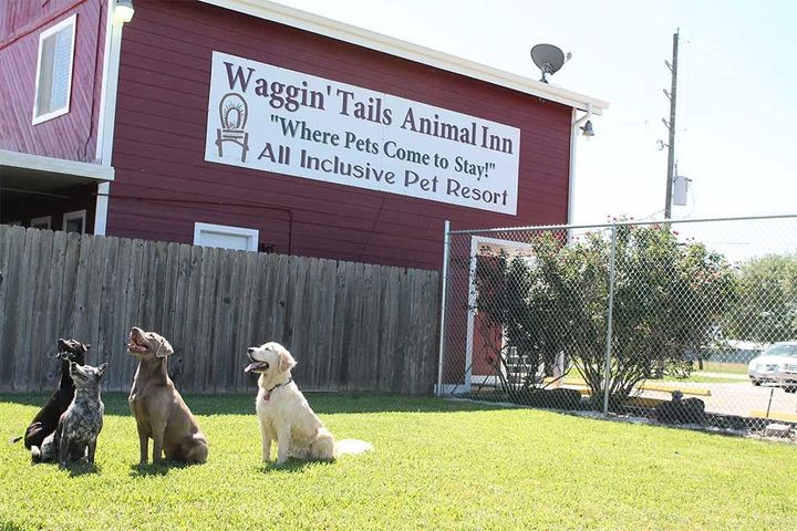 Four dogs sit on grass in front of a red building marked