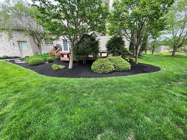 A house with a backyard deck surrounded by fresh dark mulch, shrubs, and trees, with a green lawn in the foreground.