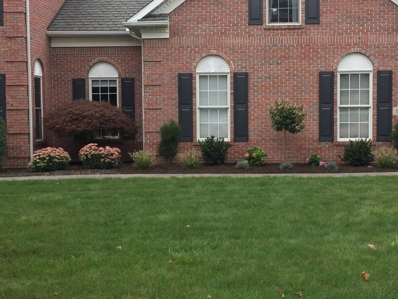 A red brick house with arched windows and black shutters sits behind a manicured lawn and foundation landscaping.