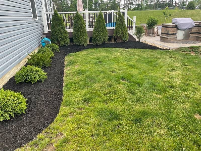 A mulch bed with evergreen shrubs and tall thin trees runs along the side of a house next to a green lawn.
