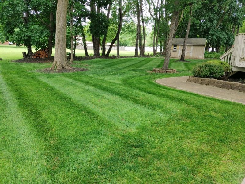 A neatly mown lawn with striped patterns, featuring trees, a stone garden bed, and a small shed in the background.