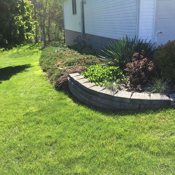 A curved concrete retaining wall borders a garden bed against the side of a white house, surrounded by grass and shrubs.
