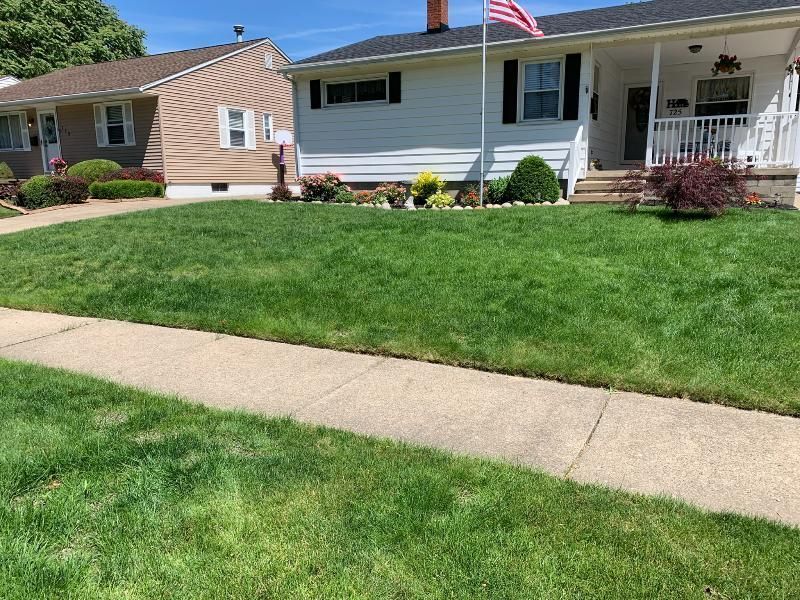A front yard with a green lawn, sidewalk, and two houses on a sunny day.