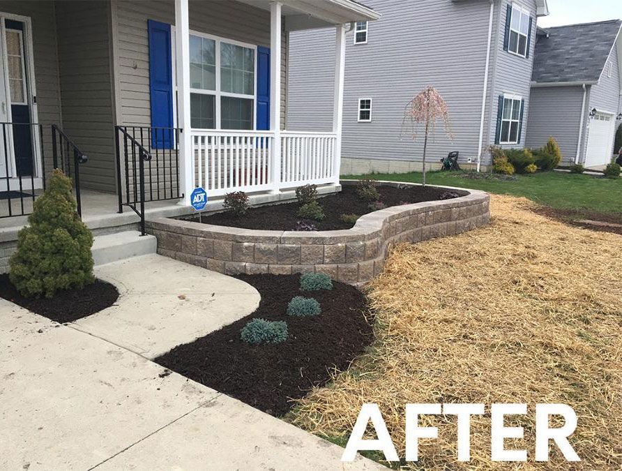 A landscaped front yard featuring a new curved retaining wall, dark mulch, fresh plantings, and straw-covered ground.