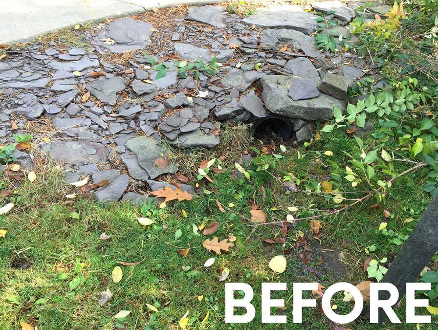 A messy patch of flat slate stones on grass, surrounding a dark opening to a drainage pipe in a backyard setting.