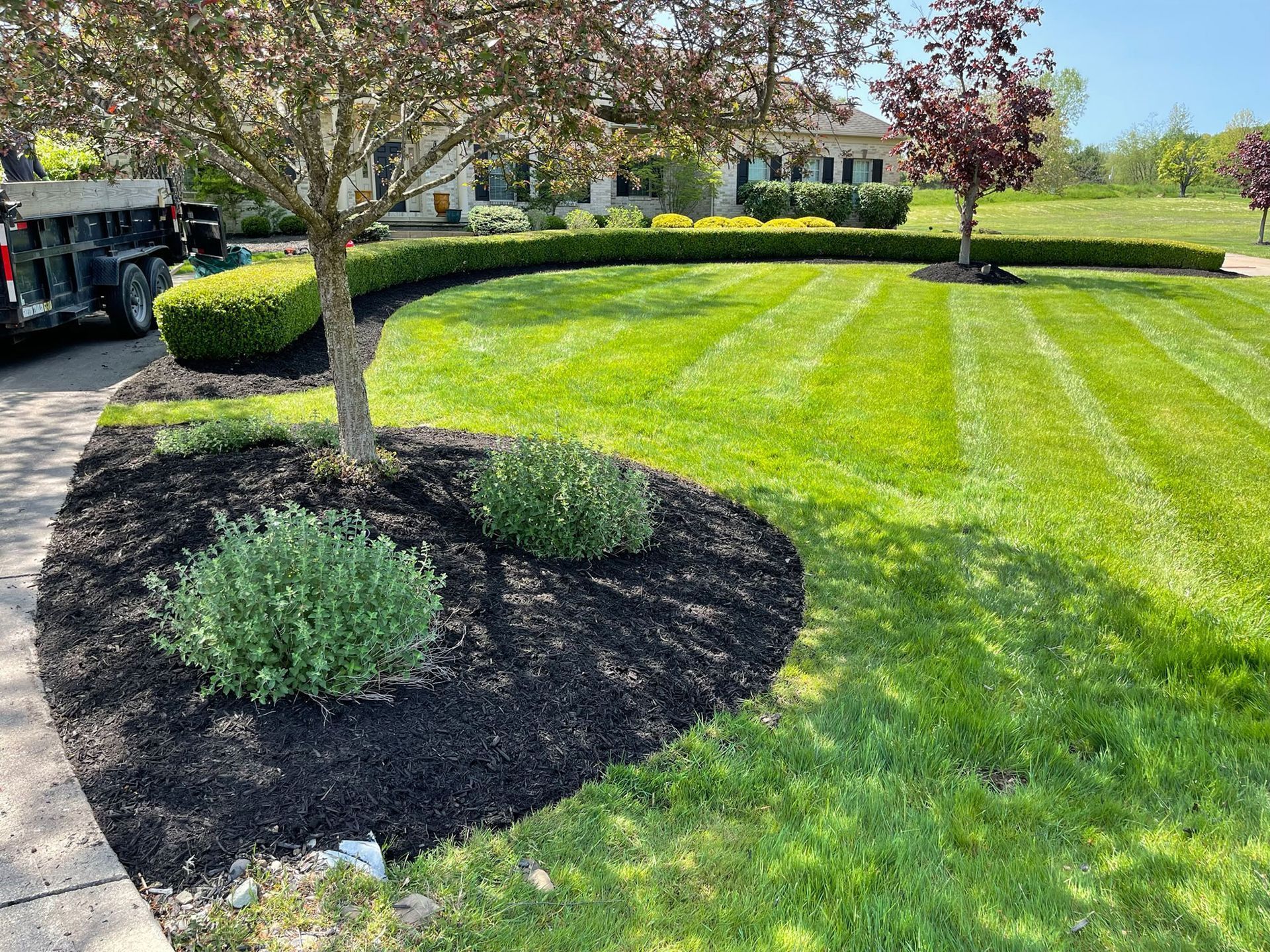A well-manicured lawn with striped grass, a dark mulch garden bed with small shrubs, and a neatly trimmed hedge.