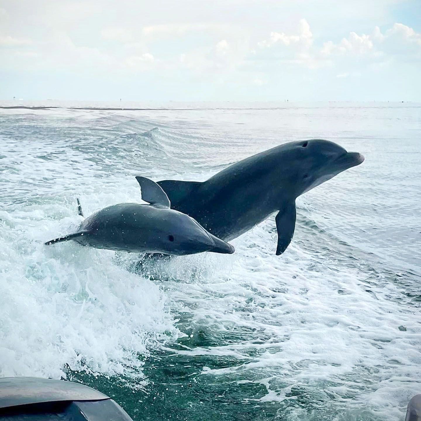 Two dolphins are jumping out of the water near a boat