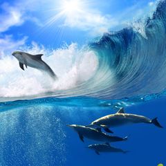 A group of dolphins are swimming in the ocean near a wave