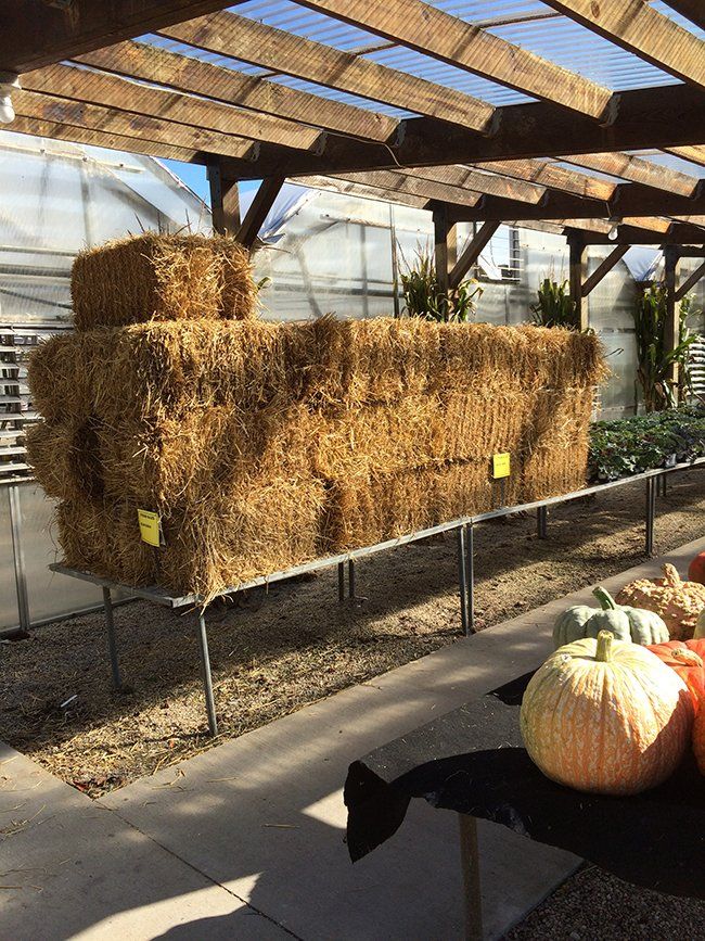 Hartman's Towne & Country Greenhouse Photo Gallery Manitowoc