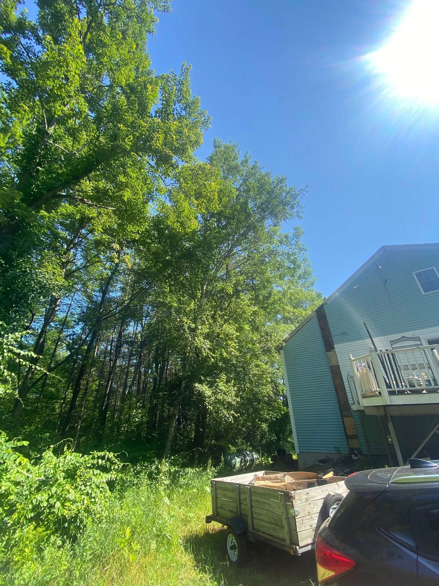 Blue sky above a green tree line and a turquoise building; a car and trailer sit below.