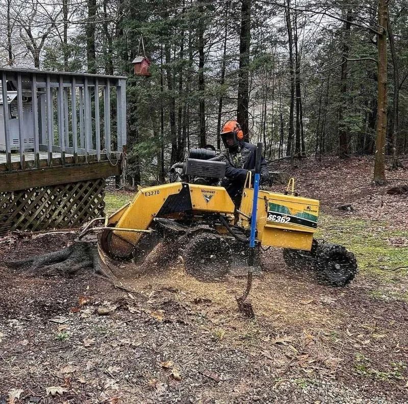 A person operating a yellow stump grinder near a deck in a wooded area.