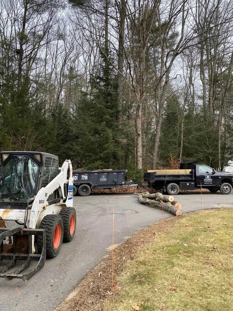 Bobcat and dump trucks on a driveway with cut logs. Trees in the background. Cloudy day.