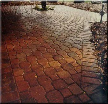 Sunlit red brick paver walkway with a curved pattern and leaf litter along the edge