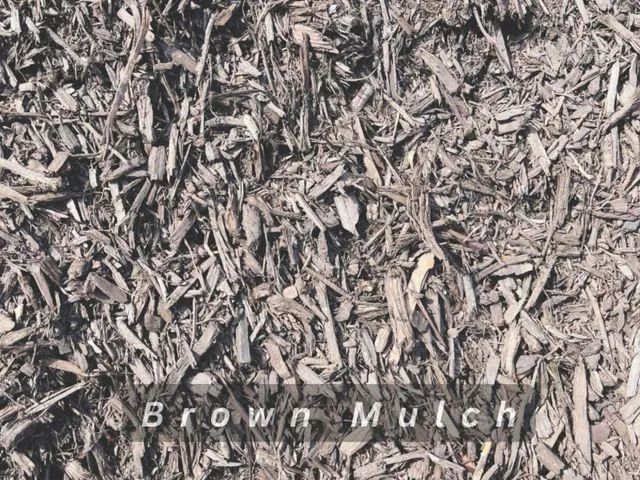 Brown mulch covering the ground, with the words “Brown Mulch” overlaid at the bottom.