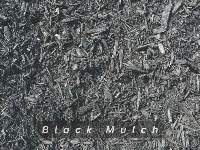 Black mulch covering the ground, with the words “Black Mulch” at the bottom.