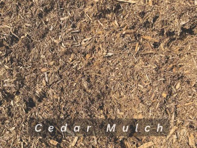 Brown cedar mulch with visible wood chips and the label “Cedar Mulch”