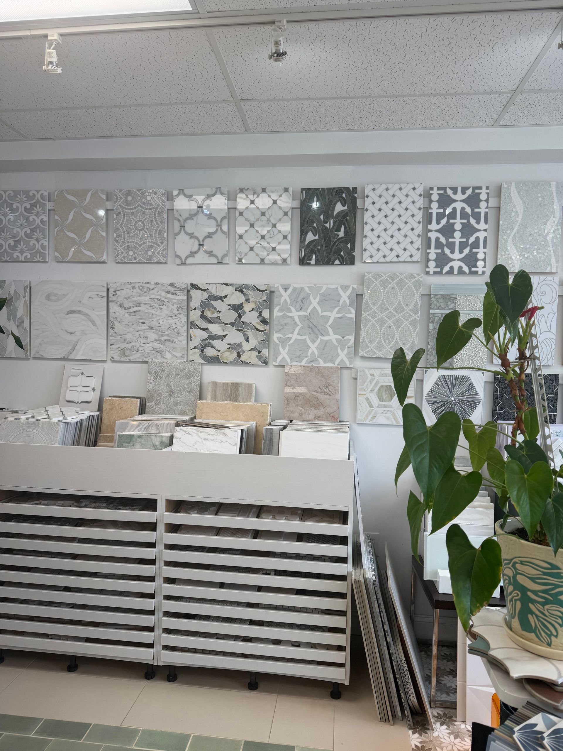Tile display wall with patterned samples and a counter, with a leafy plant in the foreground