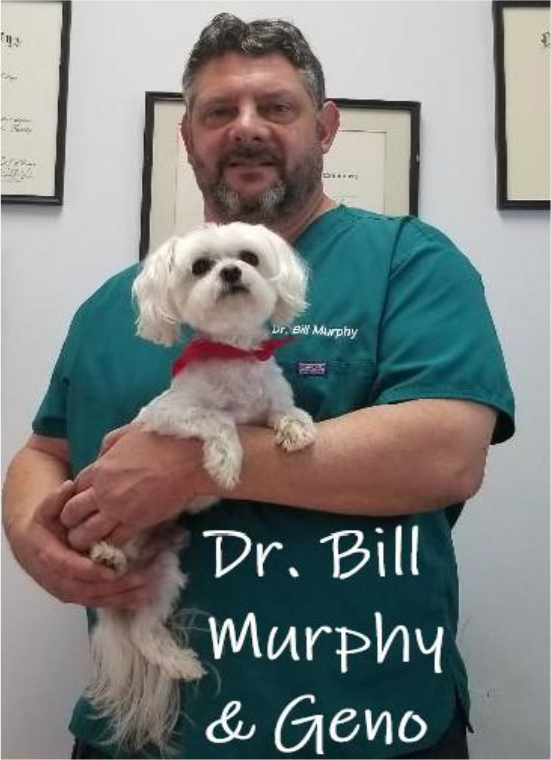 Dr. Bill Murphy