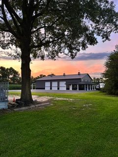 Large tree beside a grassy lawn and low building at sunset, with pink and orange sky