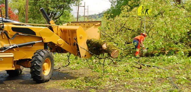 Storm Cleanup Services