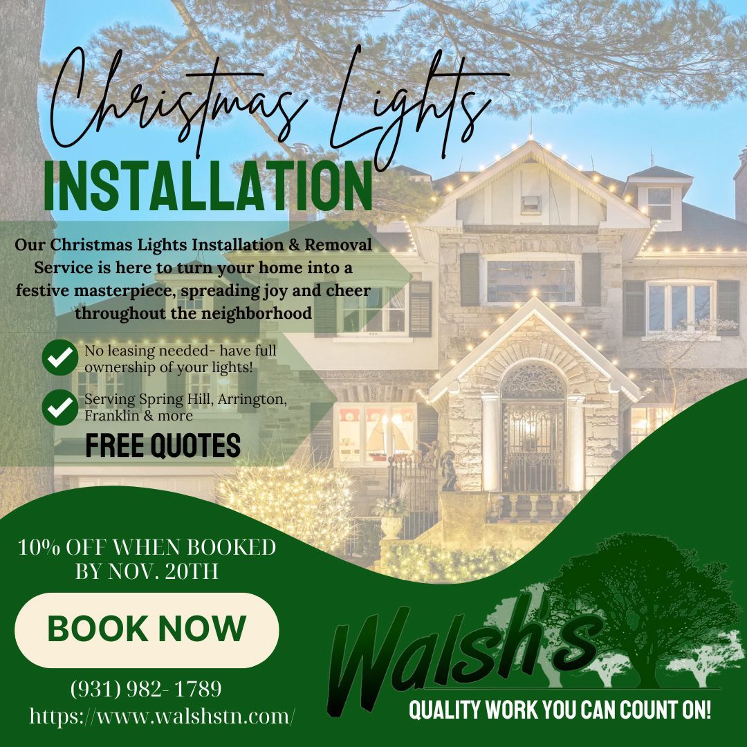 Christmas Light Installation