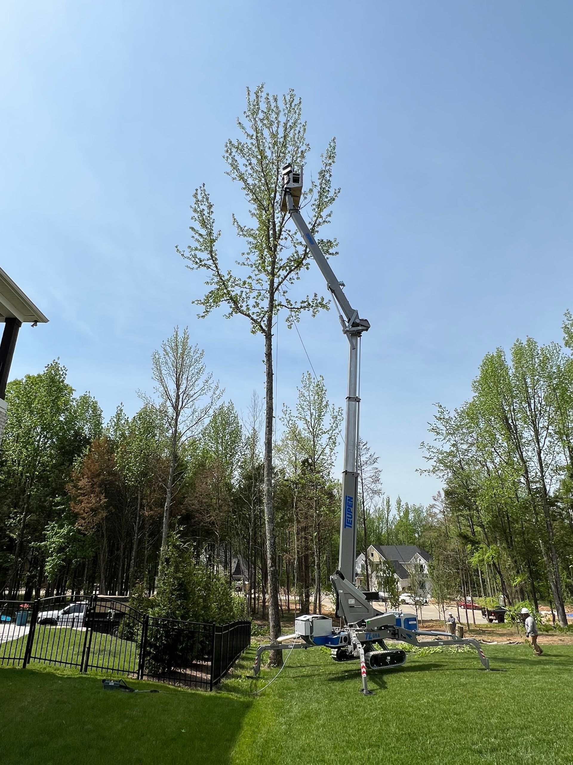 A crane is cutting a tree in a park.