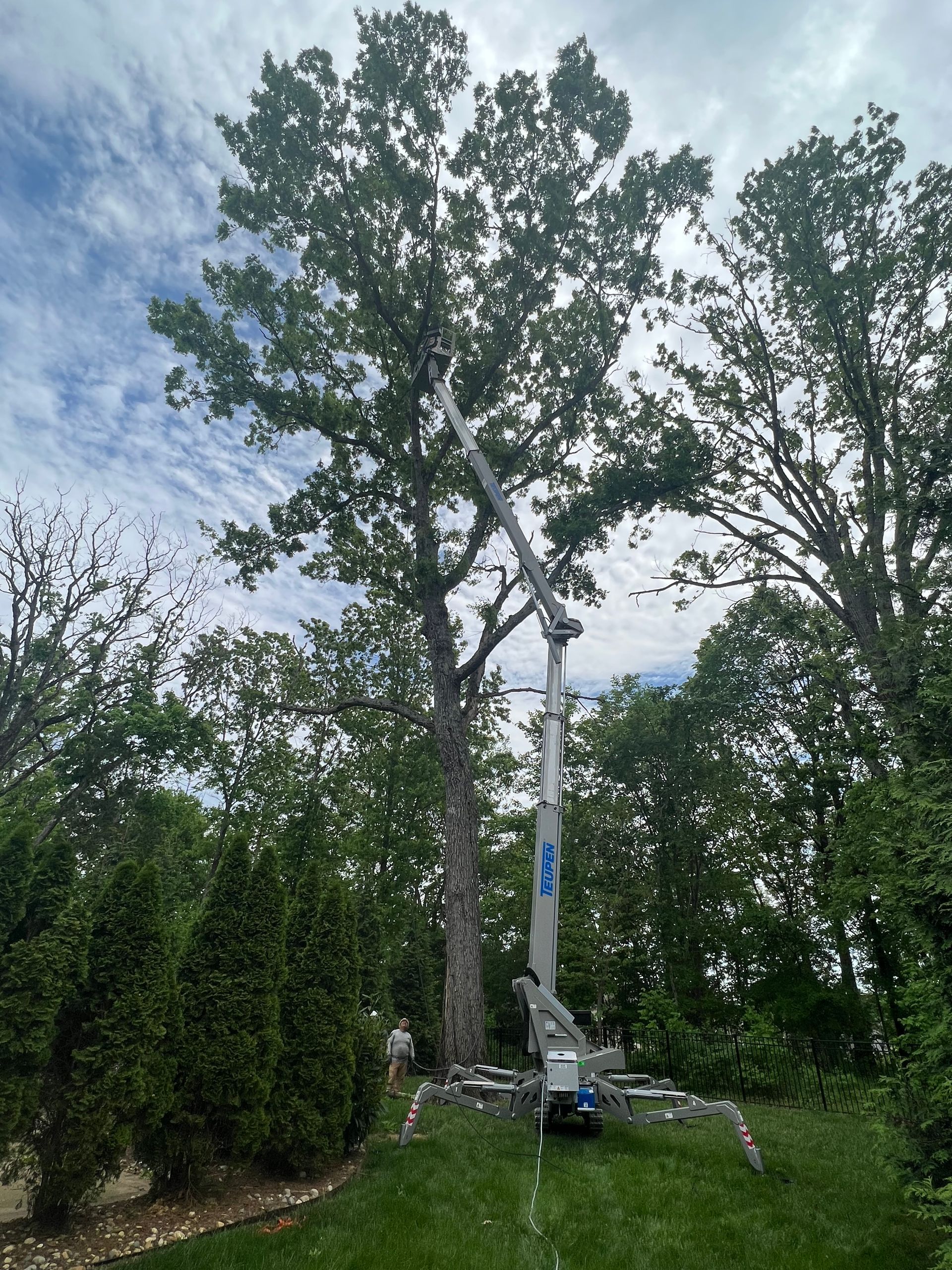 A tree is being cut down by a crane in a backyard.