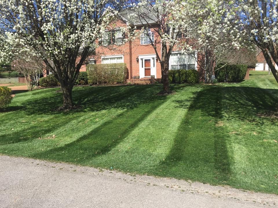 A house with a lush green lawn and trees in front of it.