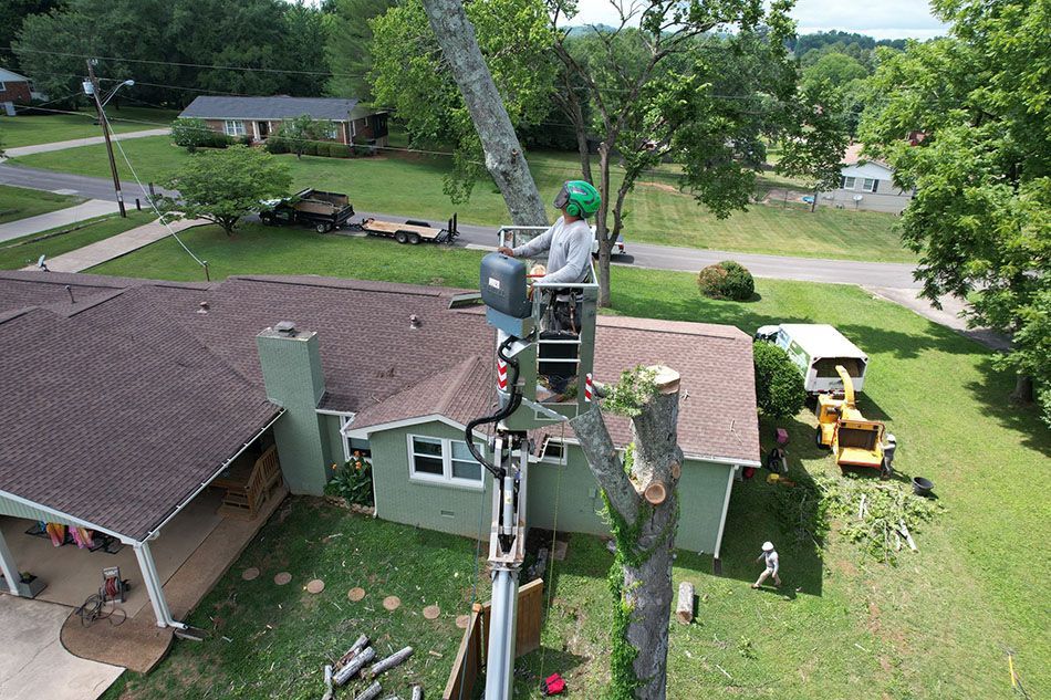 An aerial view of a man cutting a tree in front of a house.
