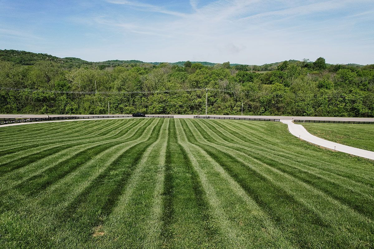 A lush green field of grass with a path going through it.