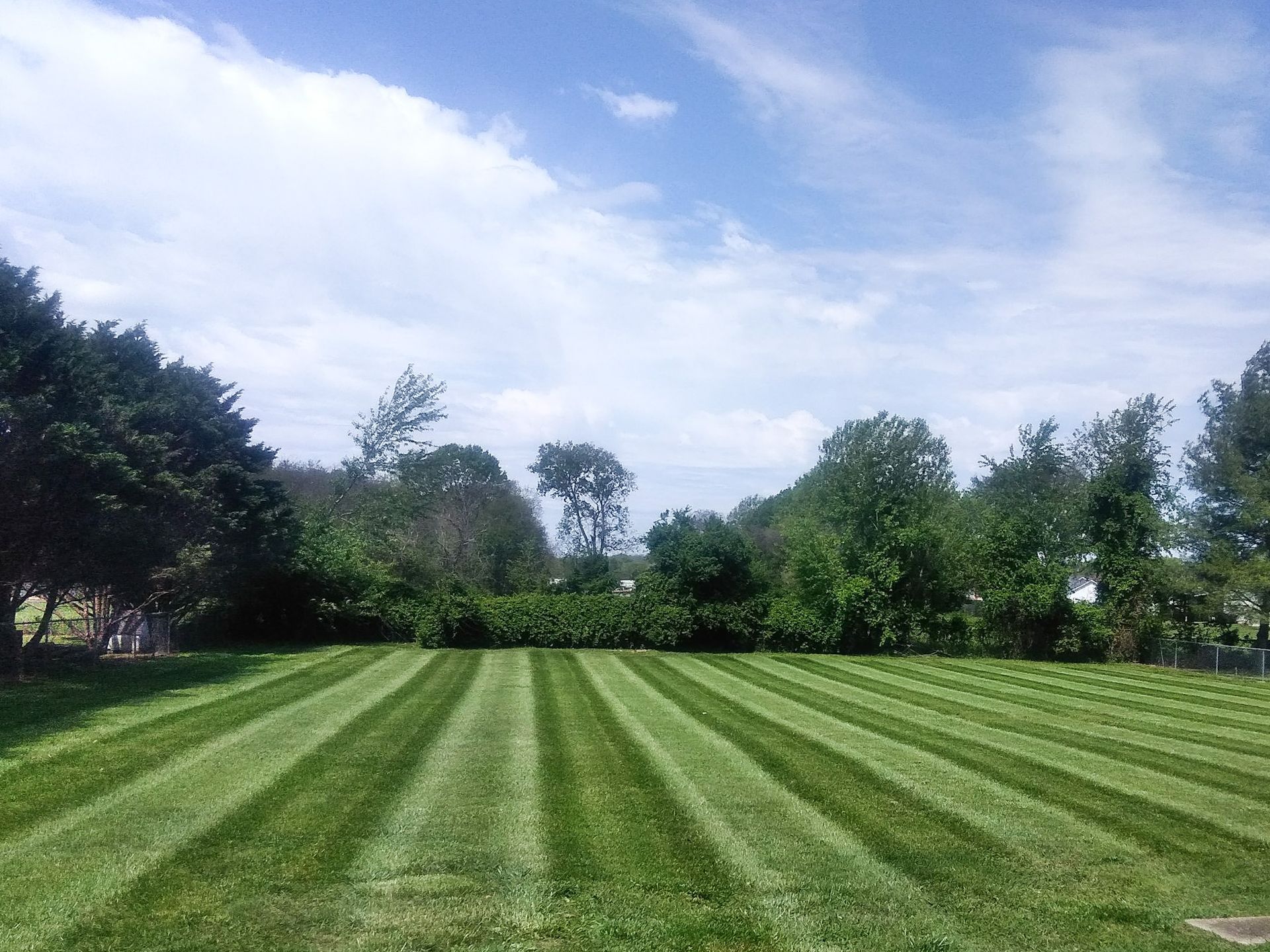 A lush green lawn with a blue sky in the background.