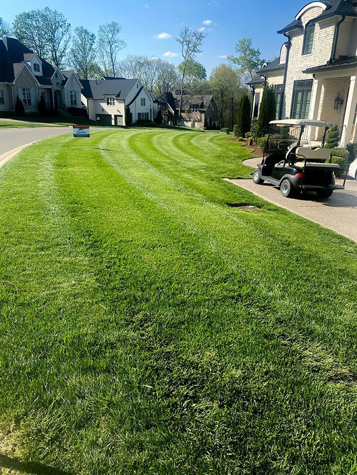A golf cart is parked on the side of the road next to a lush green lawn.