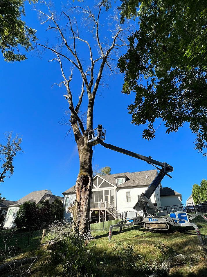 A man is cutting a tree with a crane in front of a house.