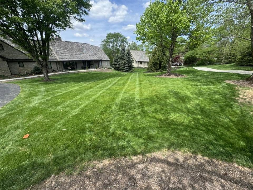 Wide green lawn with mowed stripes beside houses and trees on a sunny day