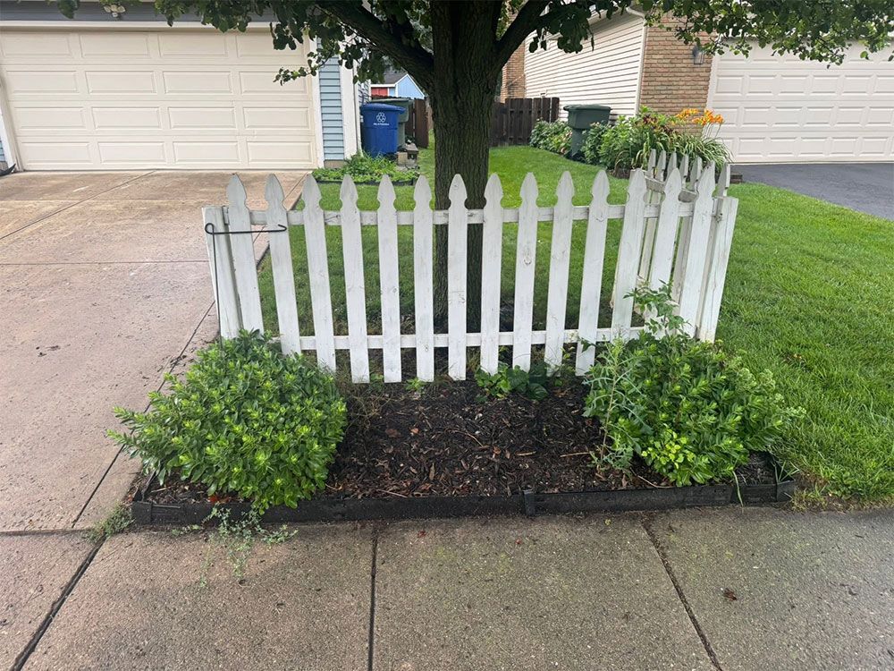 Small white picket fence around a tree, with shrubs and a sidewalk in front of suburban garages.