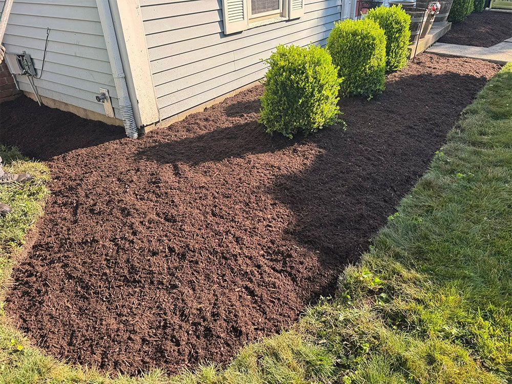 Fresh mulch bed along a house foundation with small green shrubs and a grassy lawn edge