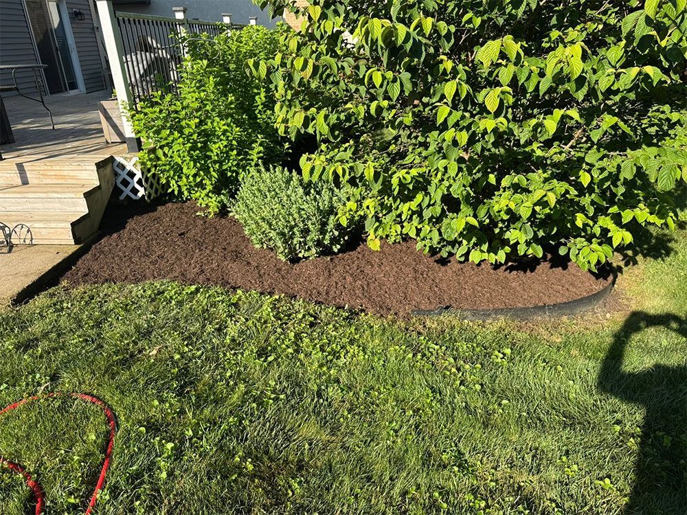 Backyard garden bed with green shrubs, fresh mulch, and a grassy lawn beside a patio.