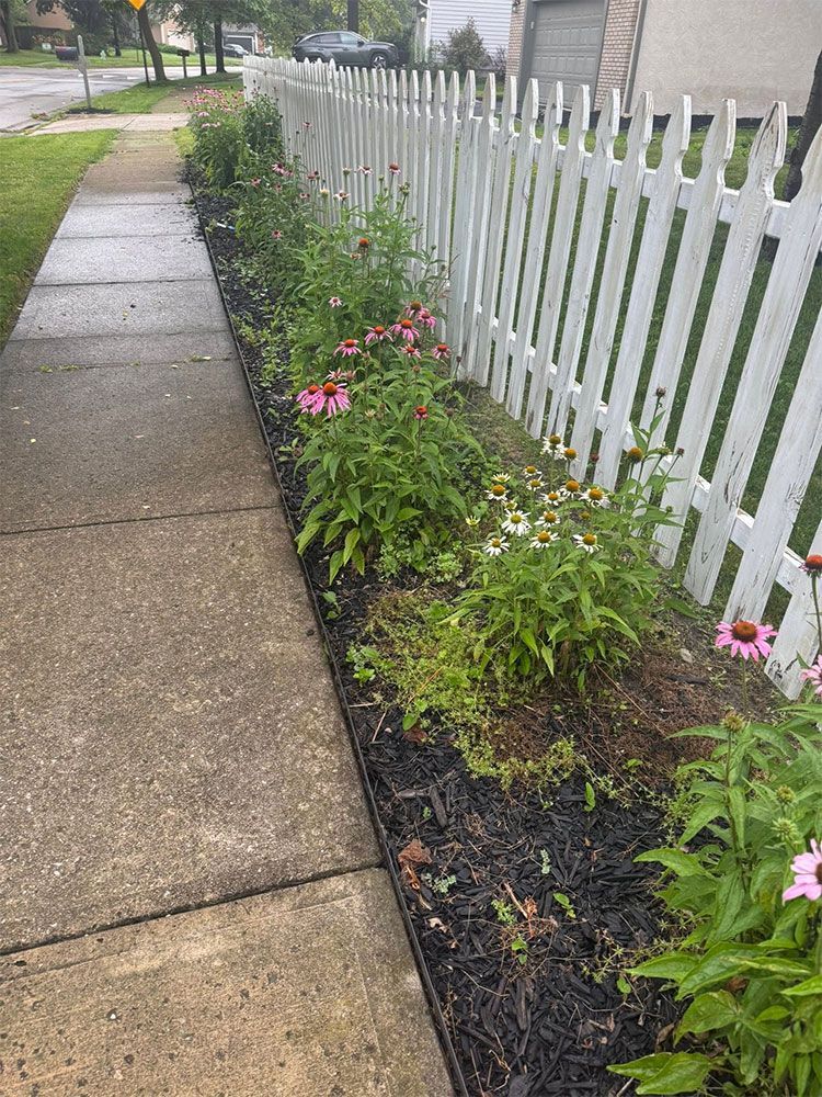 Sidewalk beside a white picket fence with a narrow flower bed of pink blooms and green plants