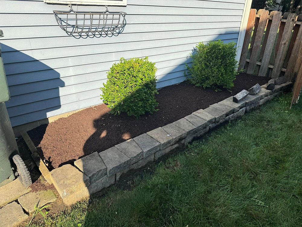 Small landscaped garden bed with shrubs, mulch, stone border, and grass beside a house wall and fence