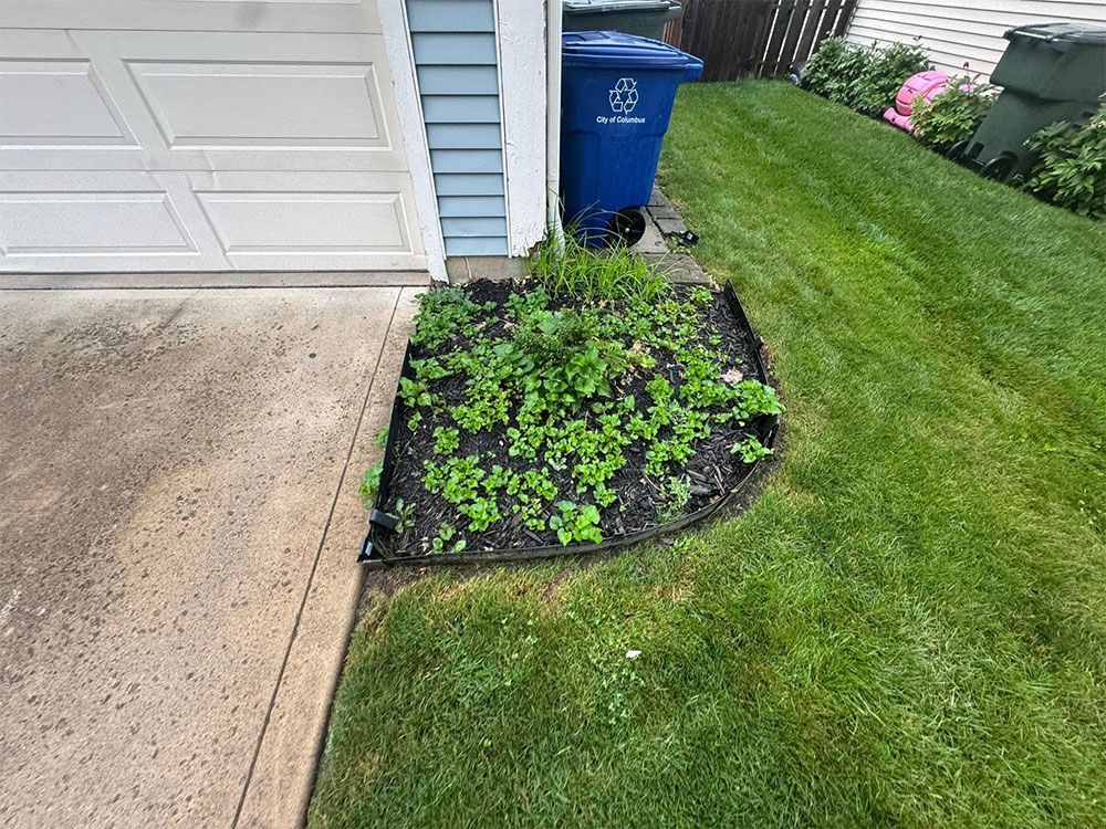 Front yard garden bed with green plants beside a garage, driveway, and blue recycling bin