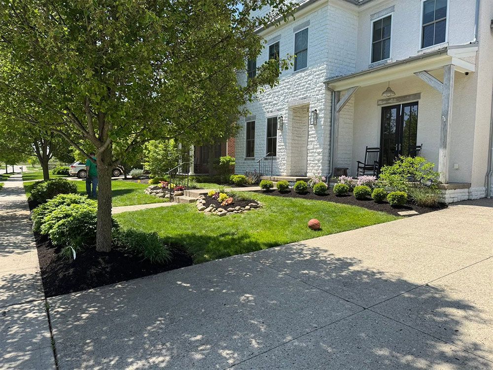 White townhouse with manicured front lawn, flowerbeds, and tree-lined sidewalk in bright sunlight