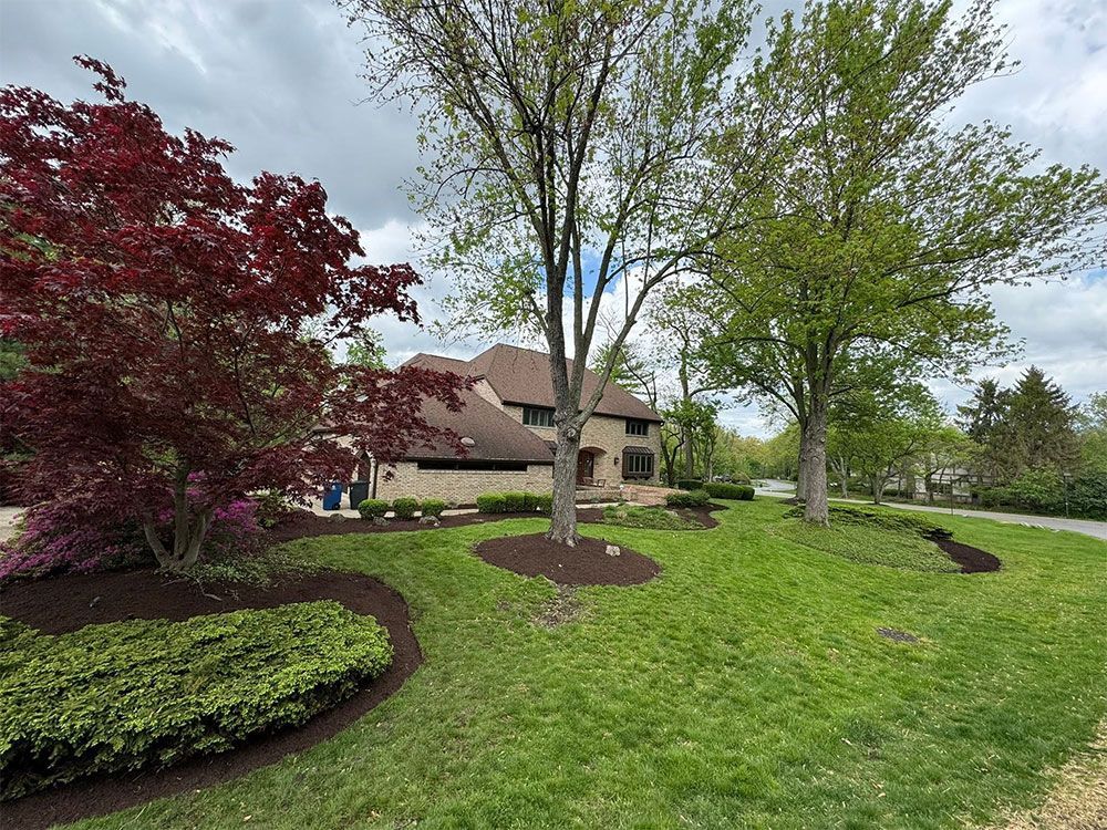Suburban house with green lawn, red and green trees, and landscaped garden beds