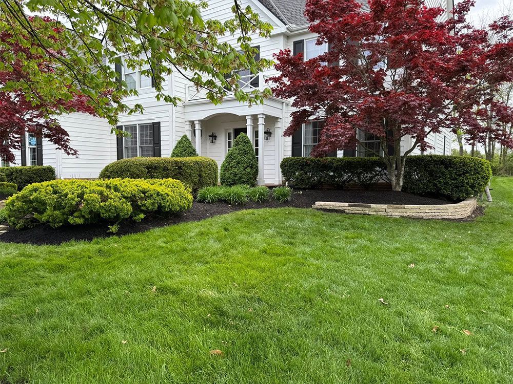 Suburban house with white siding, green lawn, and red and yellow landscaped shrubs.