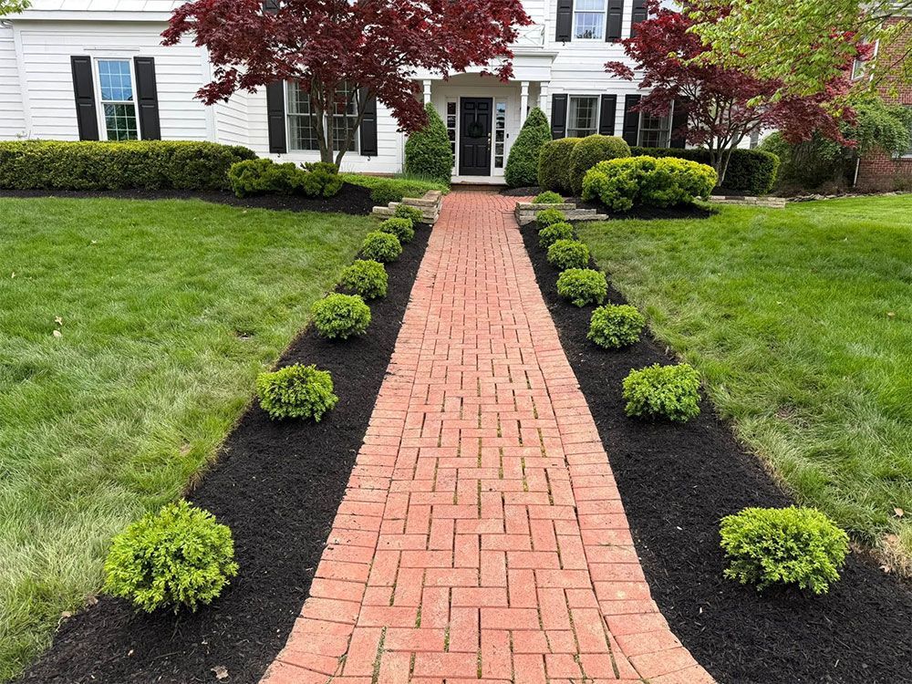 Brick walkway through a manicured front yard leading to a white house with red-leaf trees and shrubs